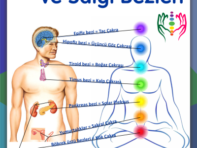 Bio-energie