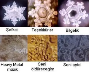 the effect of emotions on water crystals