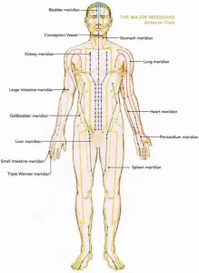 What is the energy body and meridians?