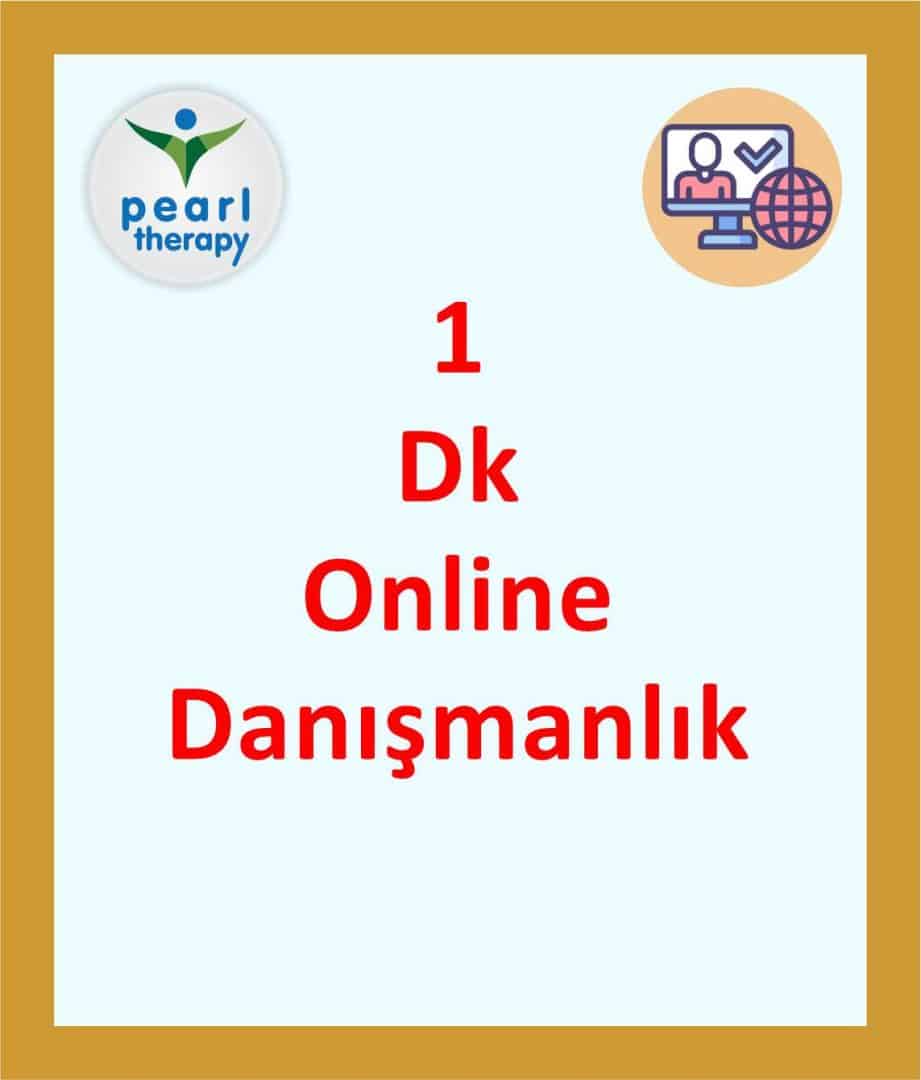 1dk Online Danışmanlık